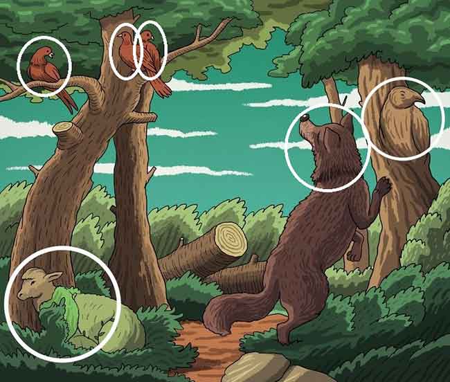 Detail Semua Gambar Hewan Di Hutan Nomer 39