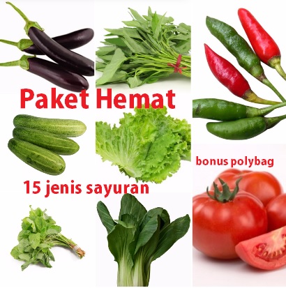 Detail Semua Jenis Sayuran Nomer 15