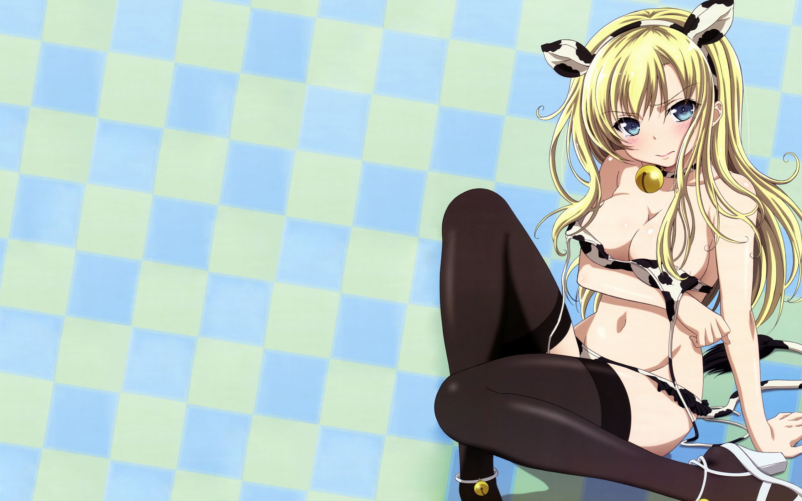 Detail Sena Kashiwazaki Wallpaper Nomer 43