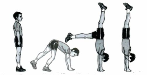 Detail Senam Lantai Handstand Nomer 3