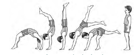 Detail Senam Lantai Handstand Nomer 37