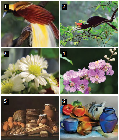 Detail Seni Budaya Gambar Flora Dan Fauna Nomer 7