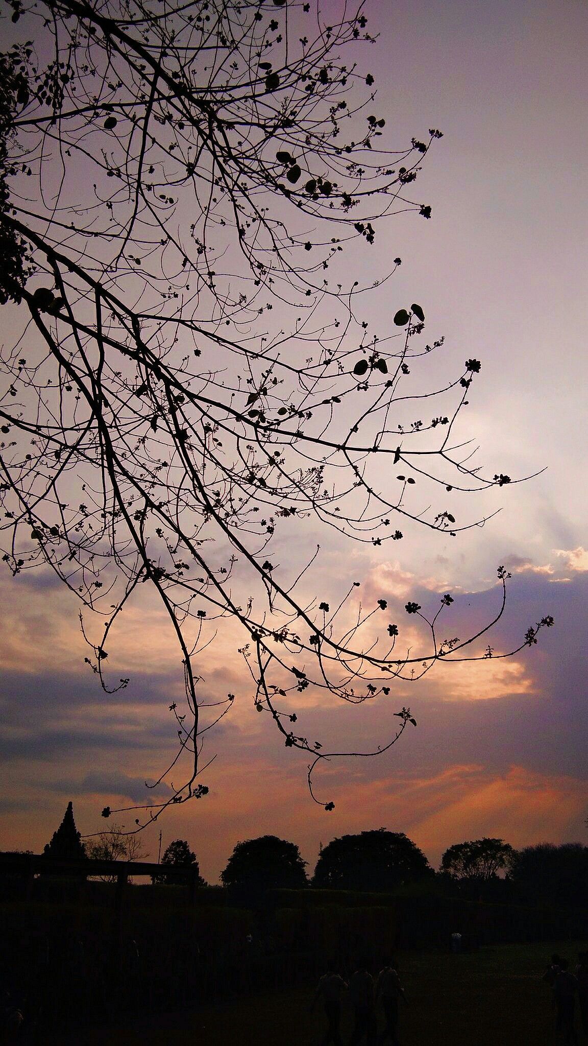 Detail Senja Background Nomer 23
