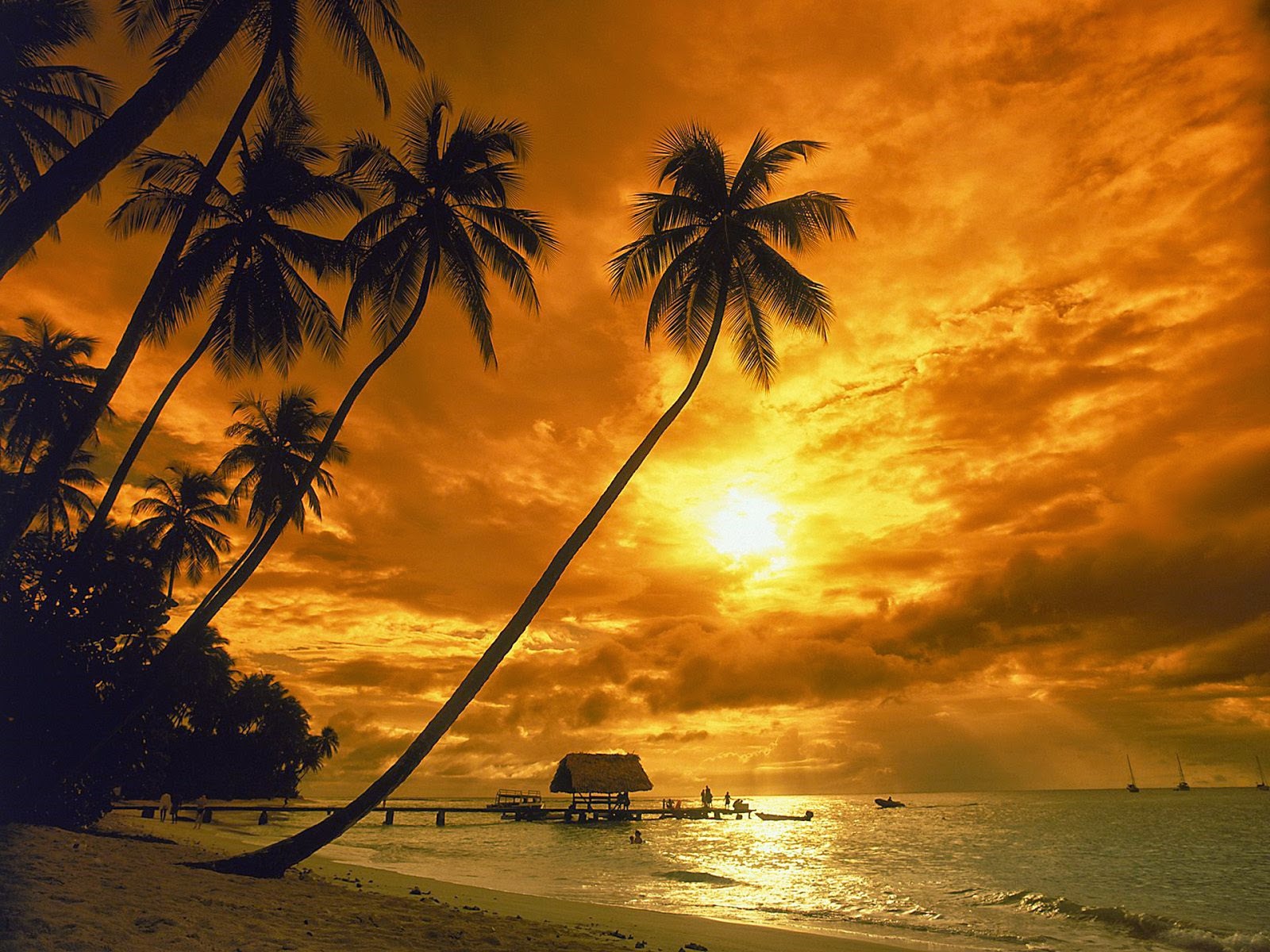 Detail Senja Background Nomer 47