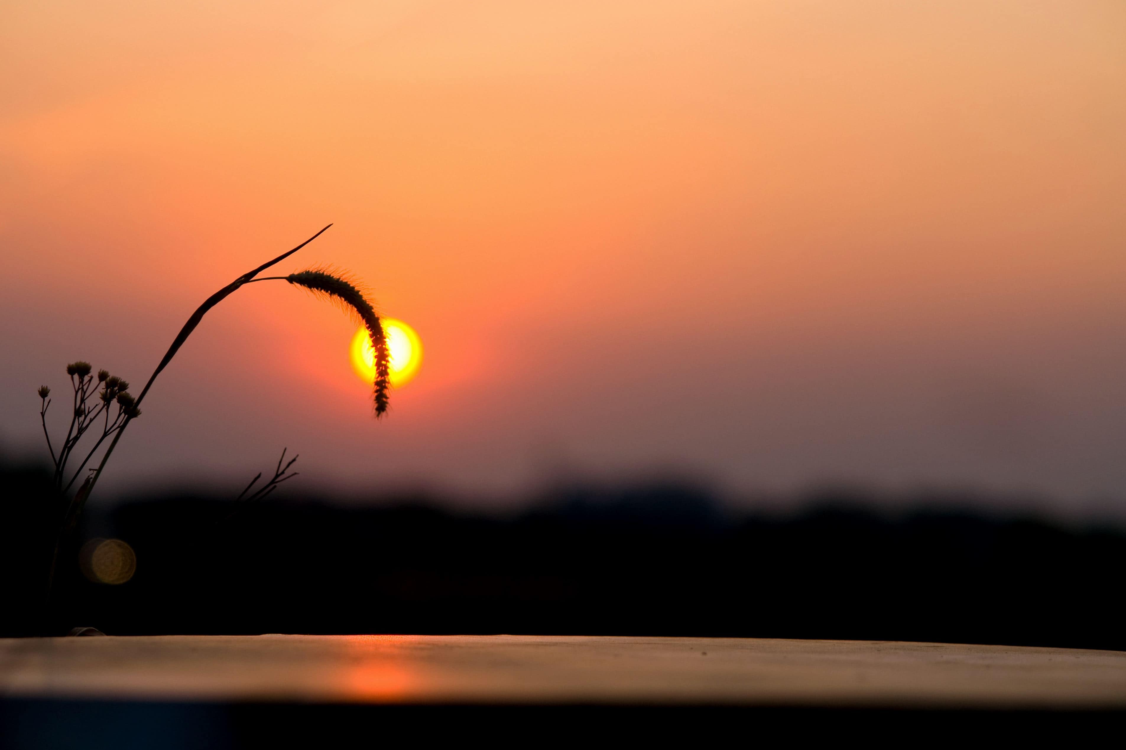 Detail Senja Pemandangan Keren Nomer 25