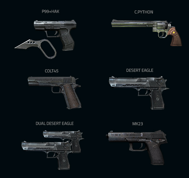 Detail Senjata Point Blank Nomer 22