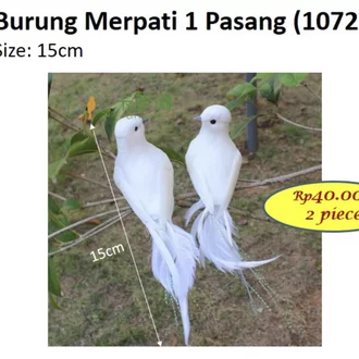 Detail Sepasang Burung Merpati Nomer 40