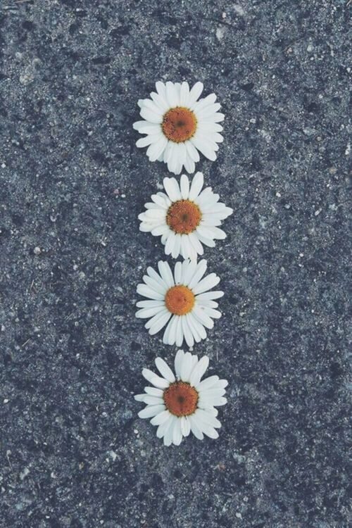 Detail Wallpaper Tumblr Nomer 13
