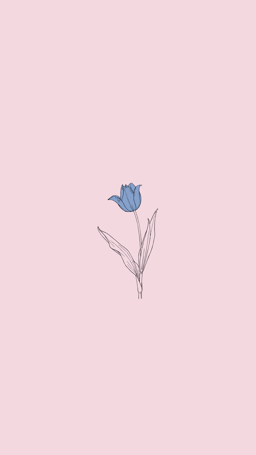 Detail Wallpaper Tumblr Nomer 43