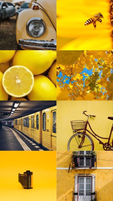 Detail Wallpaper Tumblr Yellow Nomer 47