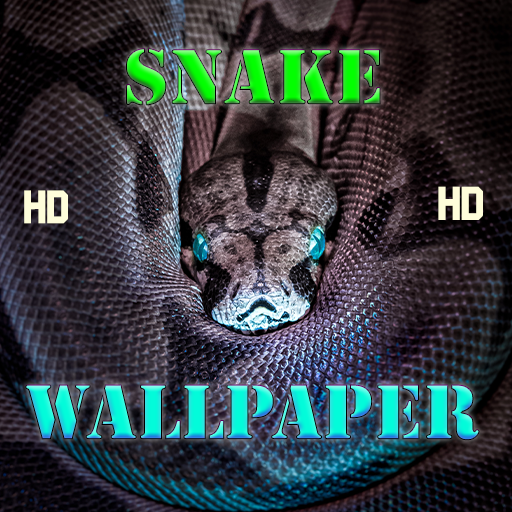 Detail Wallpaper Ular Nomer 31