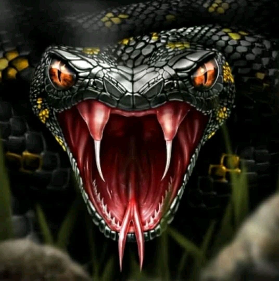 Detail Wallpaper Ular Cobra Nomer 3