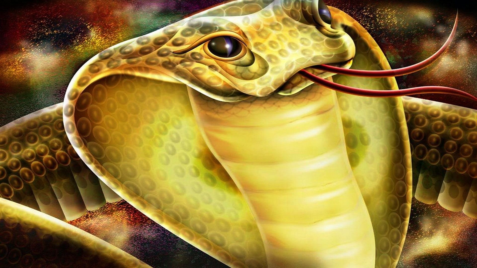 Detail Wallpaper Ular Cobra Nomer 21