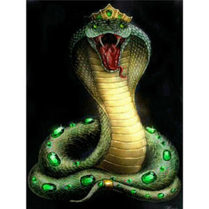 Detail Wallpaper Ular Cobra Nomer 37