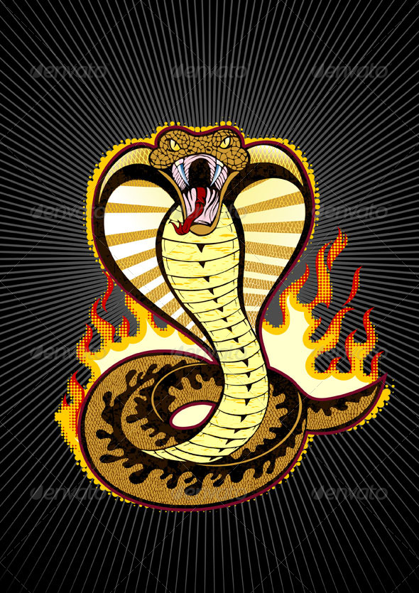 Detail Wallpaper Ular Cobra Nomer 5