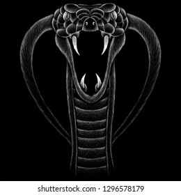 Detail Wallpaper Ular Cobra Nomer 39