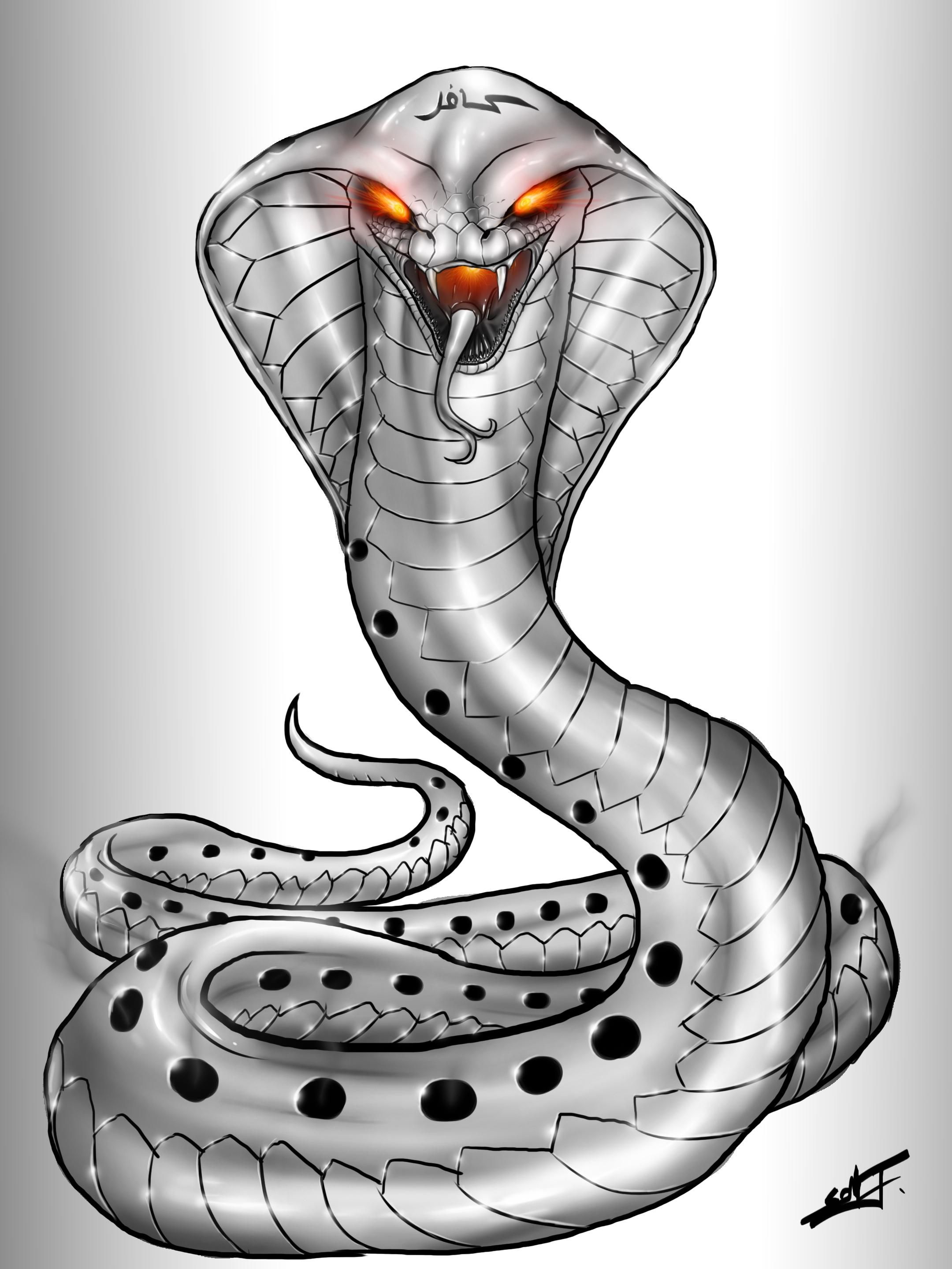 Detail Wallpaper Ular Cobra Nomer 50