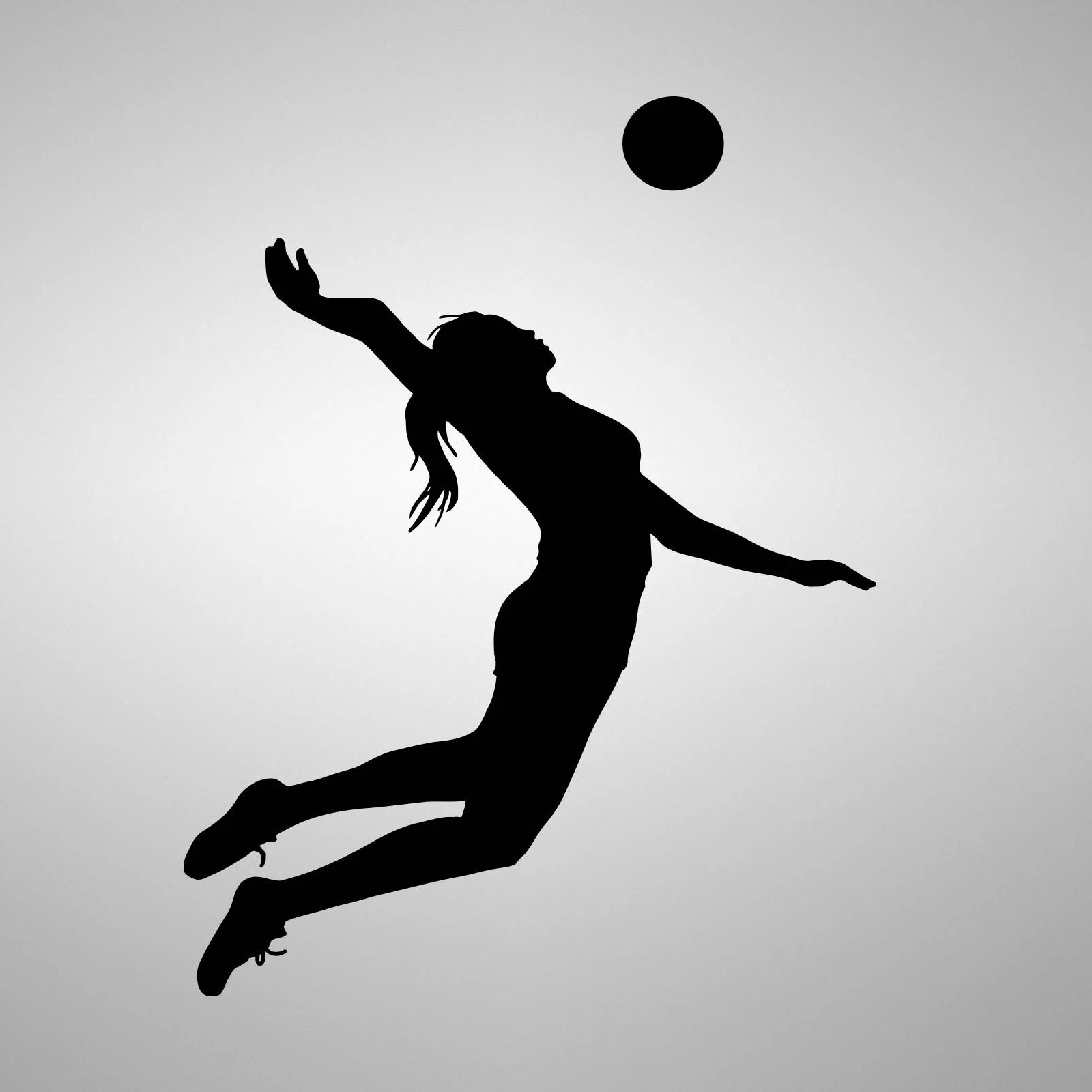 Detail Wallpaper Volleyball Nomer 23