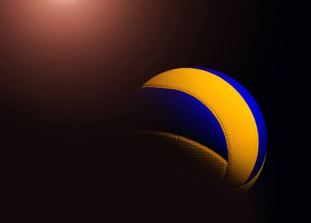 Detail Wallpaper Volly Ball Nomer 48