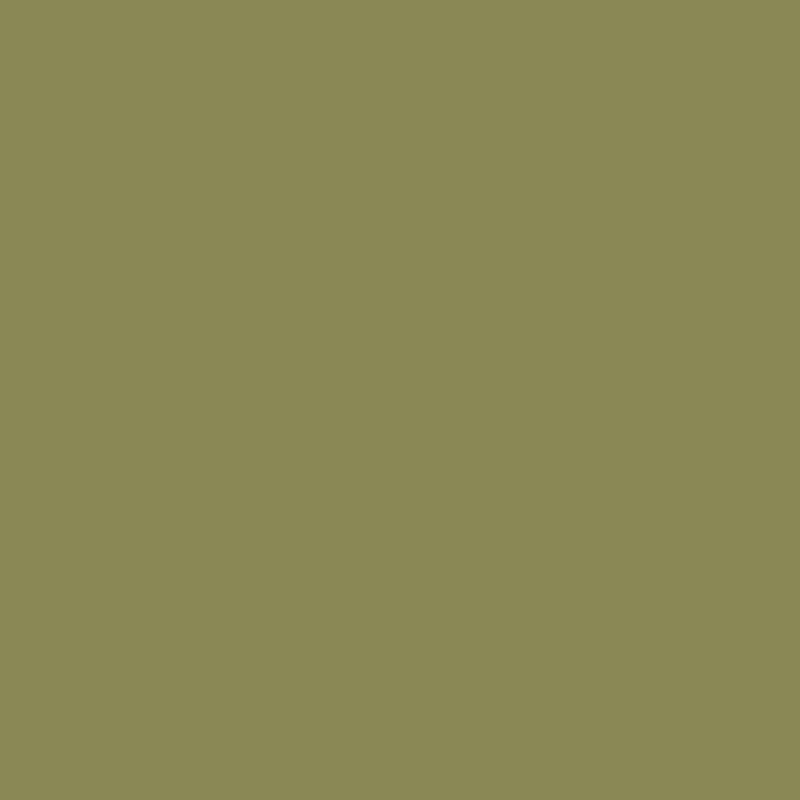 Detail Wallpaper Warna Hijau Army Polos Nomer 18