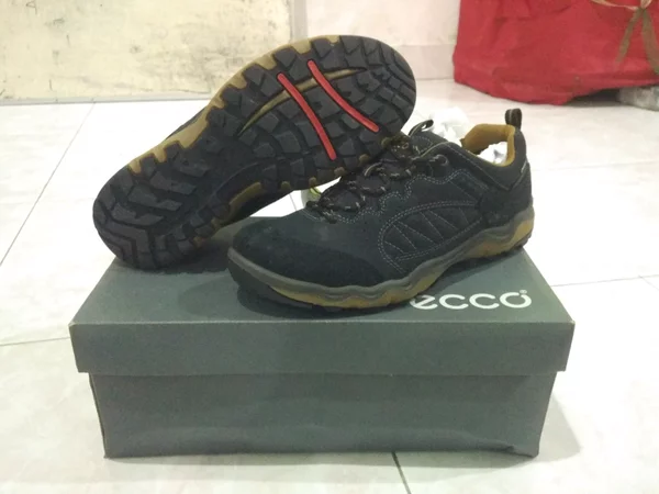 Detail Sepatu Ecco Gore Tex Nomer 6