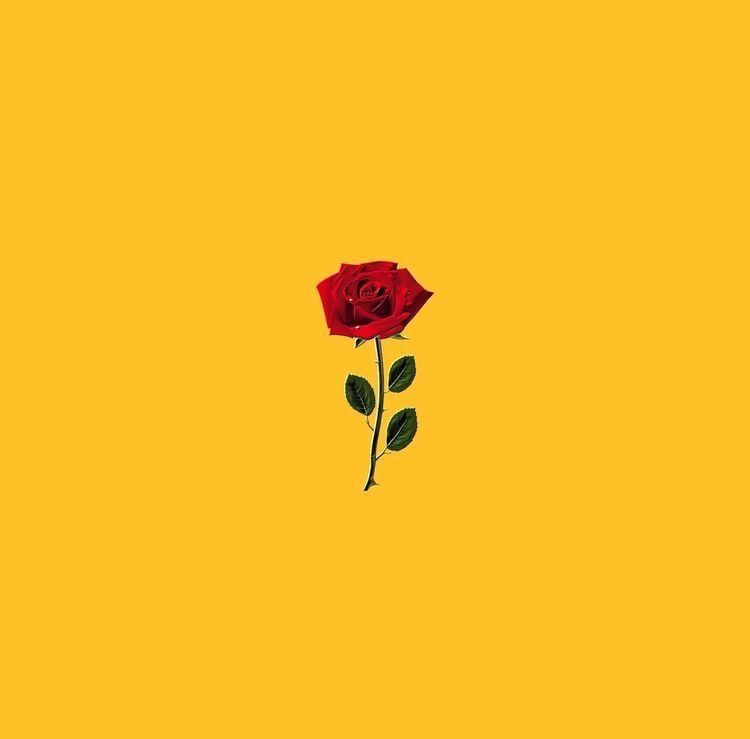 Detail Wallpaper Warna Kuning Nomer 8