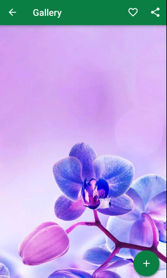 Detail Wallpaper Warna Violet Nomer 23