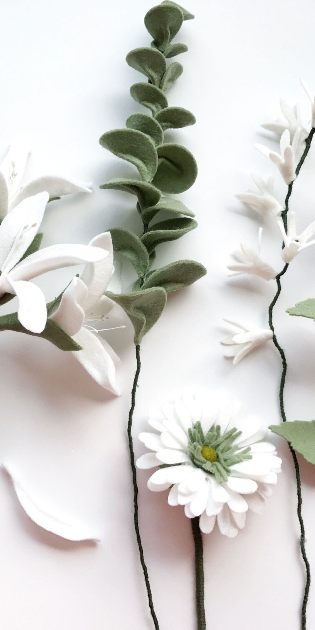 Detail Wallpaper White Flower Nomer 15