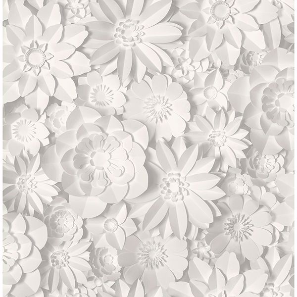 Detail Wallpaper White Flower Nomer 19
