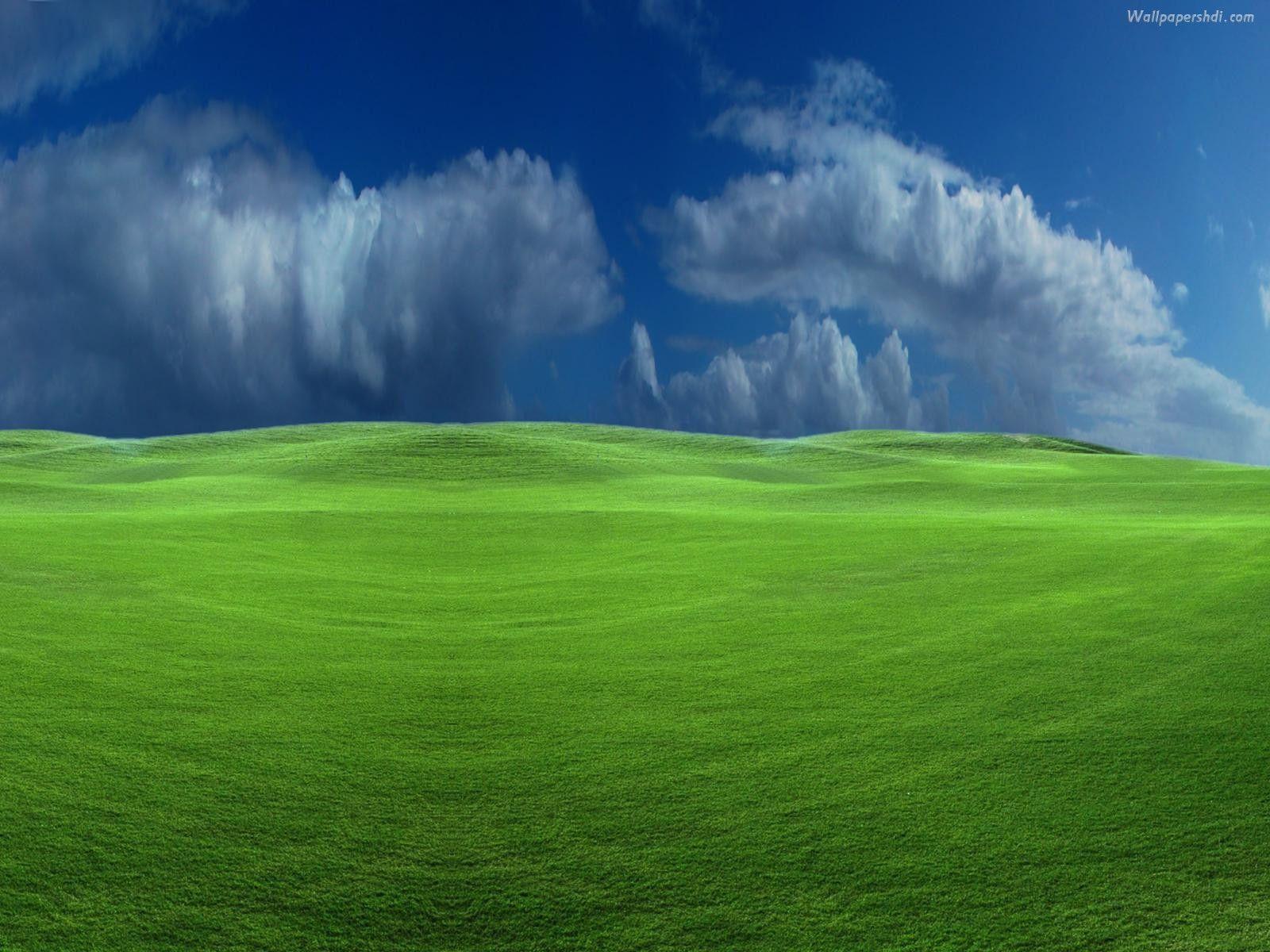 Detail Wallpaper Windows Xp Hd Nomer 30