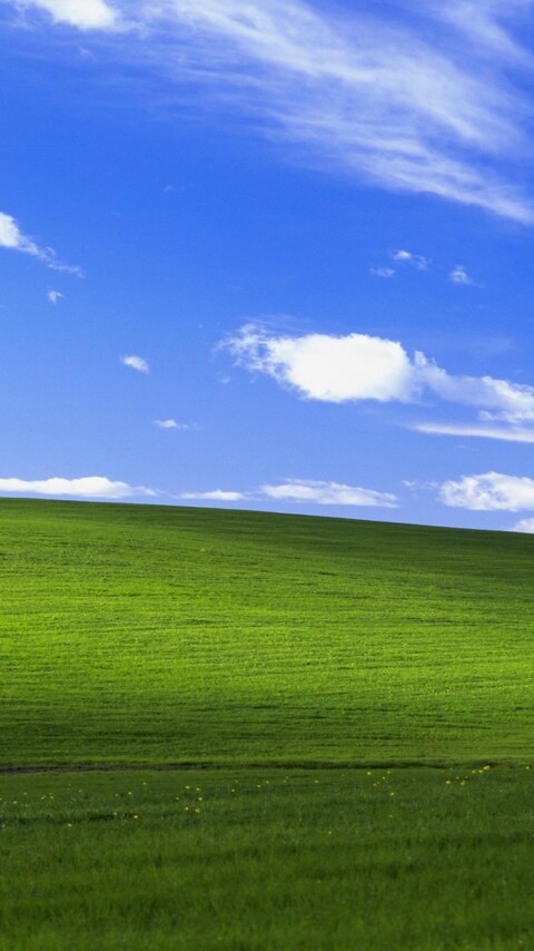 Detail Wallpaper Windows Xp Hd Nomer 42