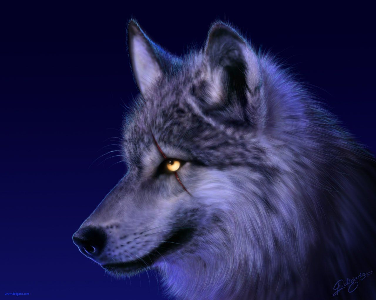 Detail Wallpaper Wolf Hd Nomer 11