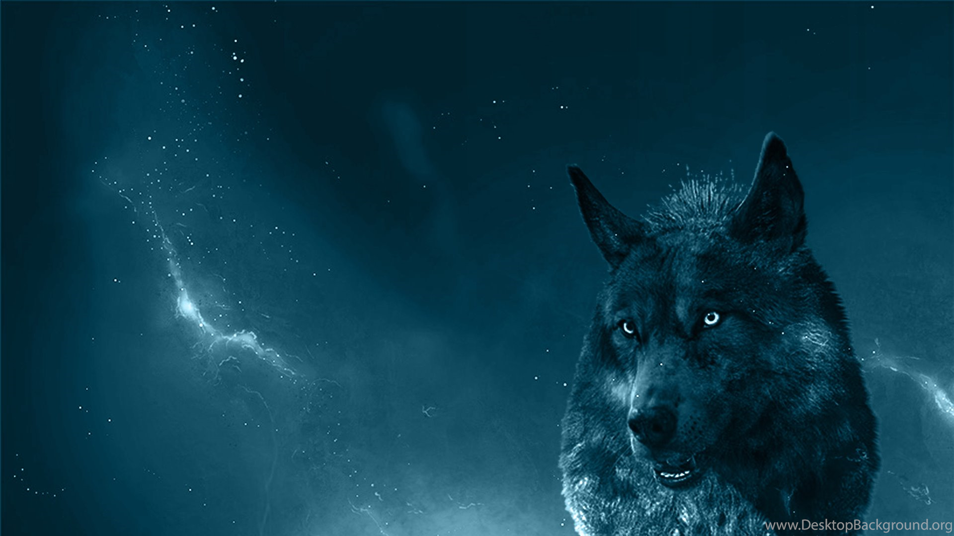 Detail Wallpaper Wolf Hd Nomer 20