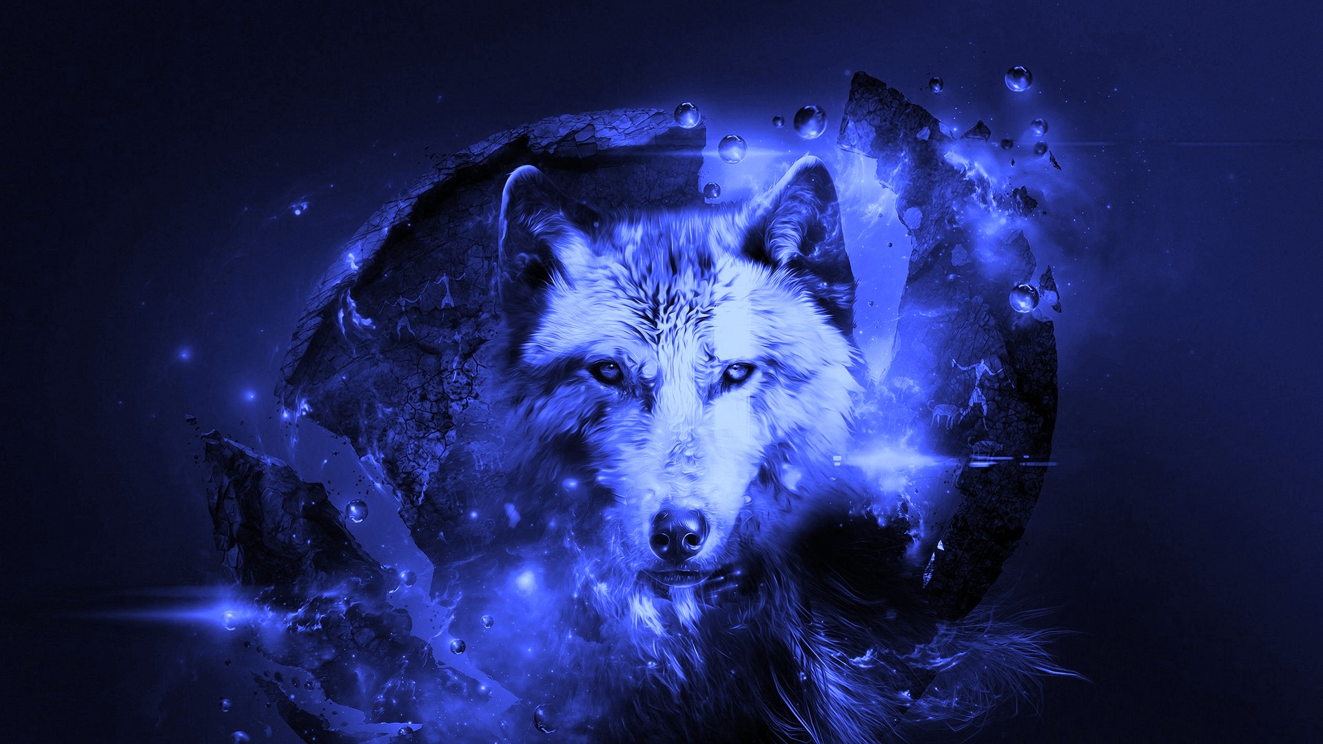 Detail Wallpaper Wolf Hd Nomer 25