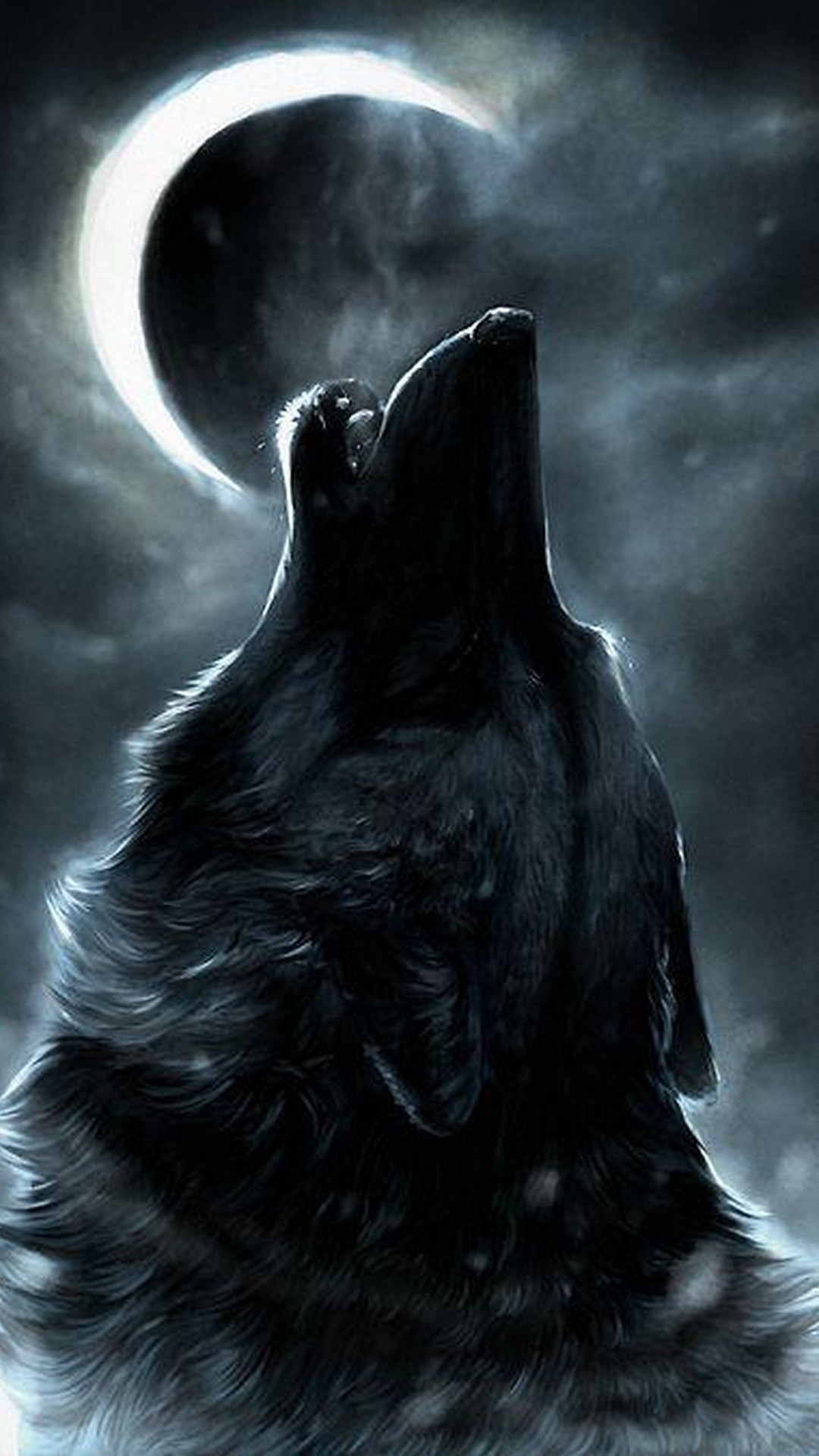 Detail Wallpaper Wolf Hd Nomer 29