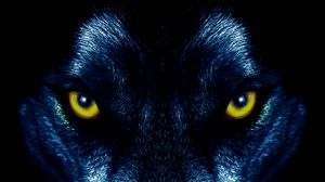 Detail Wallpaper Wolf Hd Nomer 47