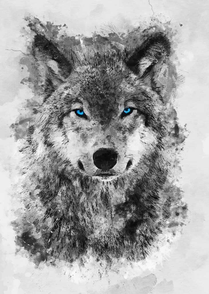 Detail Wallpaper Wolf Hd Nomer 57