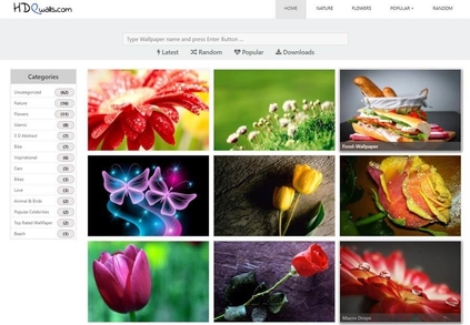 Detail Wallpaper Wordpress Theme Nomer 20