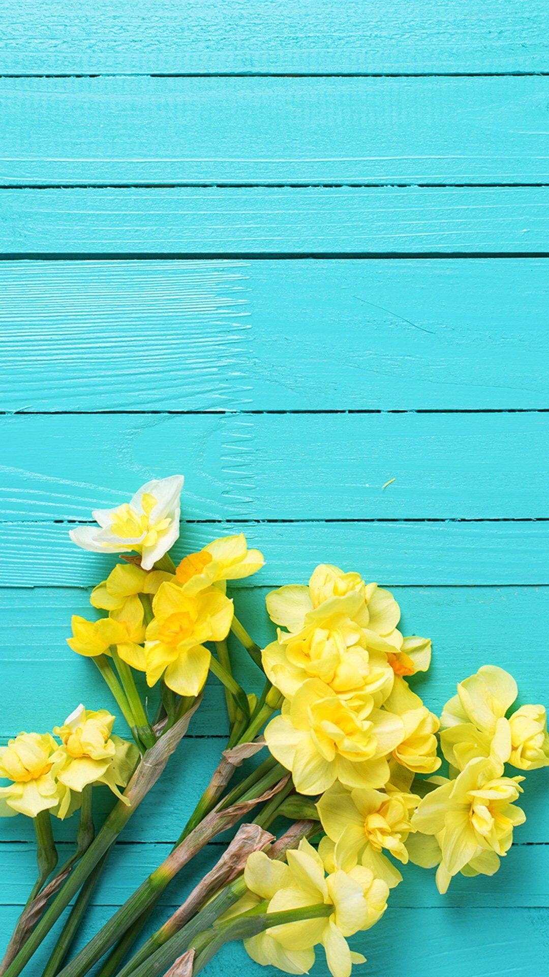 Detail Wallpaper Yellow Hd Nomer 53