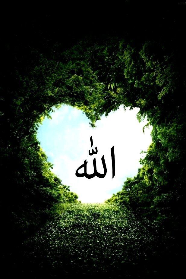 Detail Wallpapers Allah Nomer 20