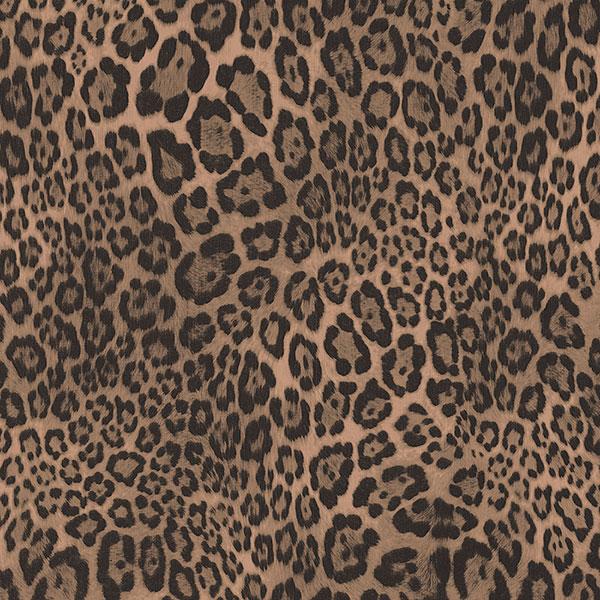 Detail Wallpapers Cheetah Print Nomer 58