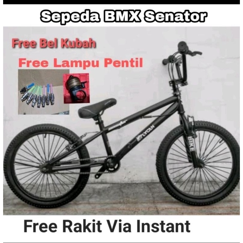 Detail Sepeda Bmx Modifikasi Drag Nomer 51