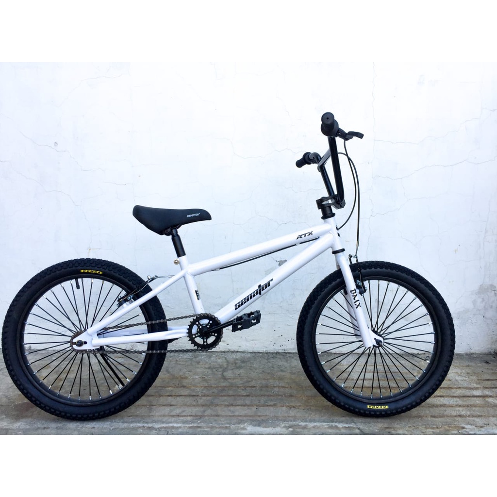 Detail Sepeda Bmx Sepeda Bmx Nomer 21