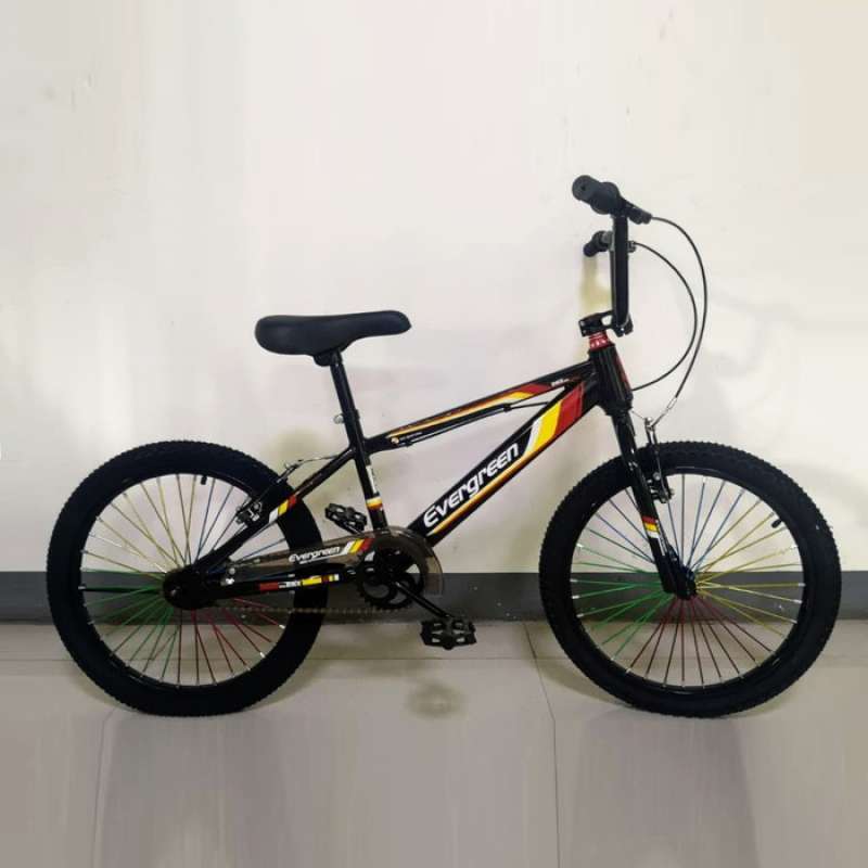 Detail Sepeda Bmx Sepeda Bmx Nomer 44