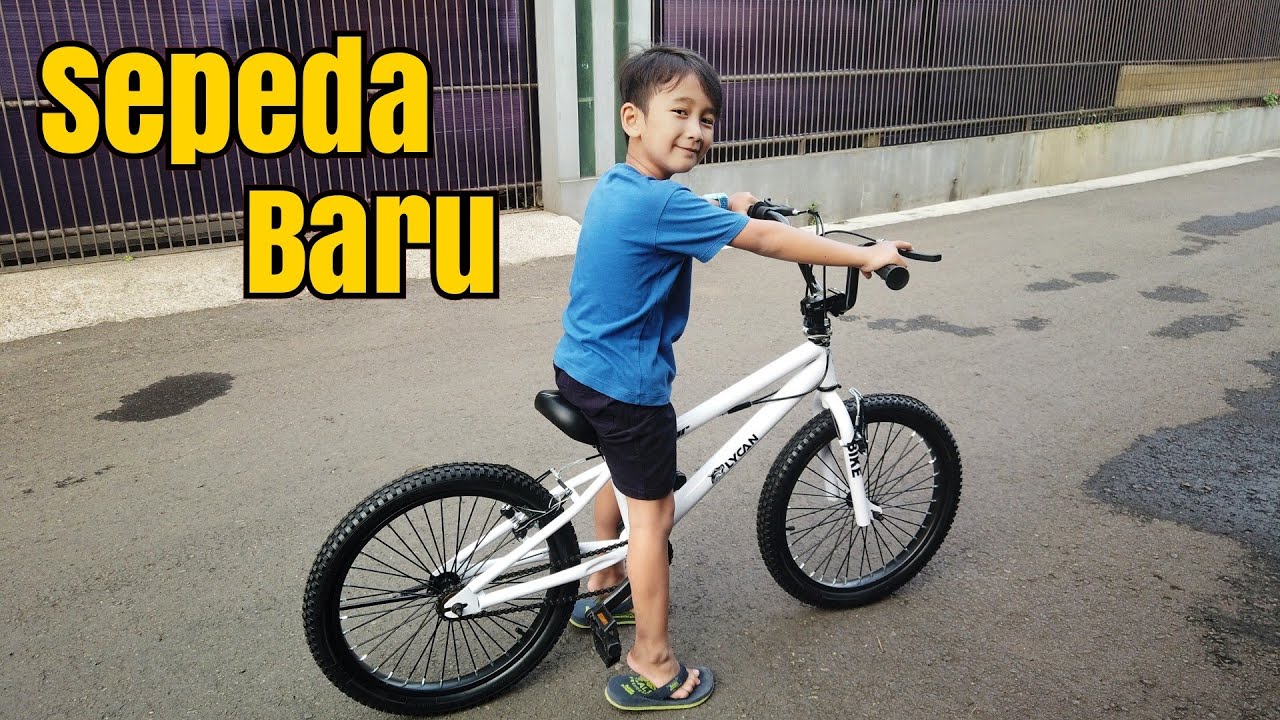 Detail Sepeda Bmx Sepeda Bmx Nomer 7