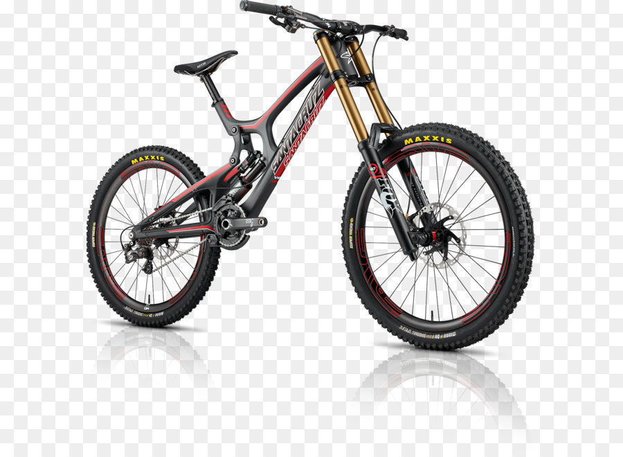 Detail Sepeda Downhill Santa Cruz Nomer 48