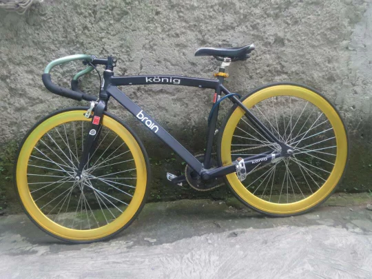 Detail Sepeda Fixie Modern Nomer 12