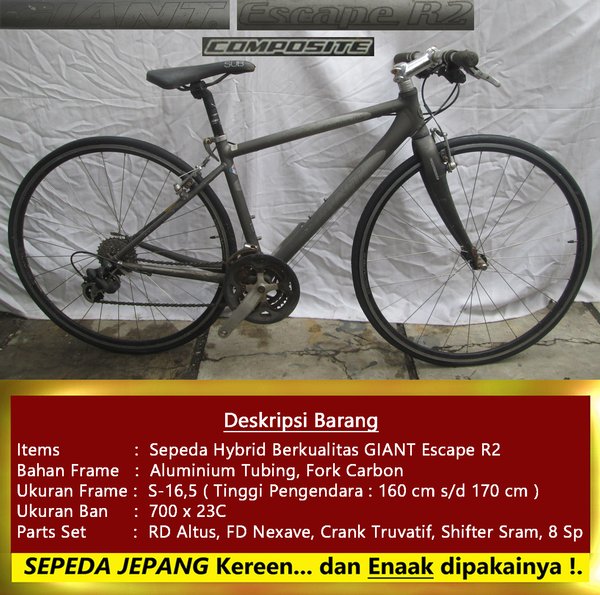 Detail Sepeda Hybrid Giant Nomer 34