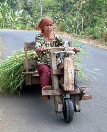 Detail Sepeda Kayu Jaman Dulu Nomer 23