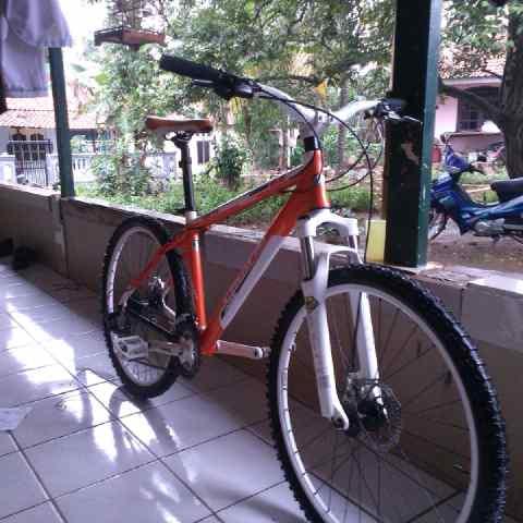 Detail Sepeda Mtb Keren Nomer 48